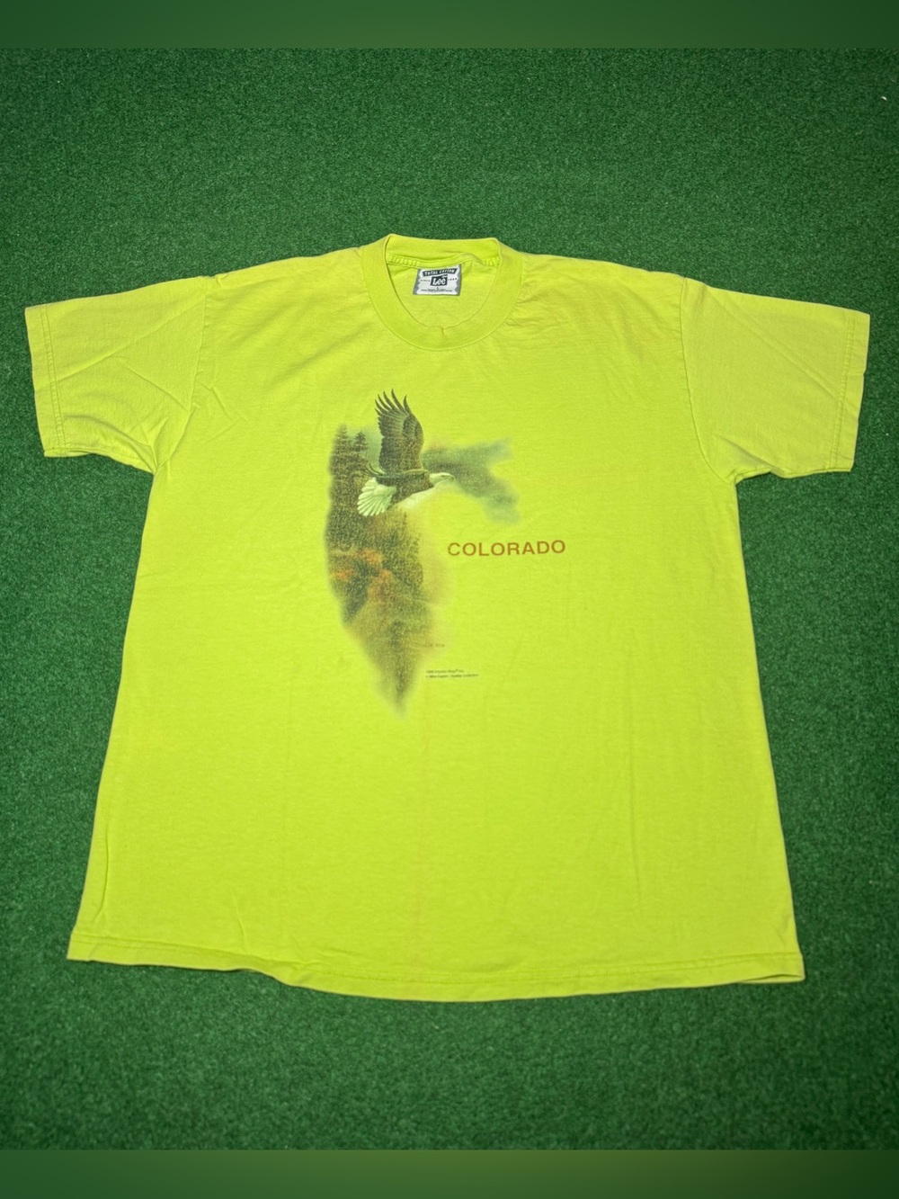 Colorado Vintage Nature T Shirt 90s Bald Eagle Large Hipster Animal Shirt